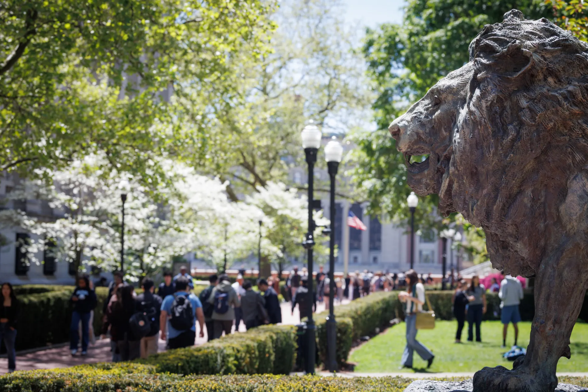 An image of a sunny Morningside Campus with a statue of a lion in the foreground, and trees and students in the background.