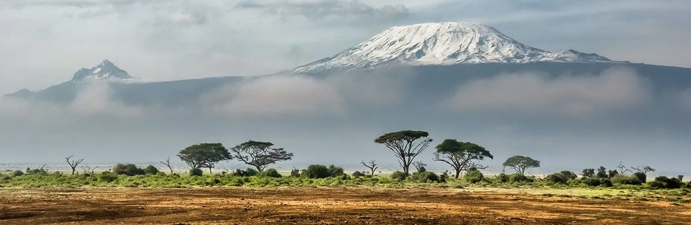 Panoramic landscape view of the snow-capped peak of Mount Kilimanjaro rising above a misty cloud layer and an African savanna dotted with acacia trees.