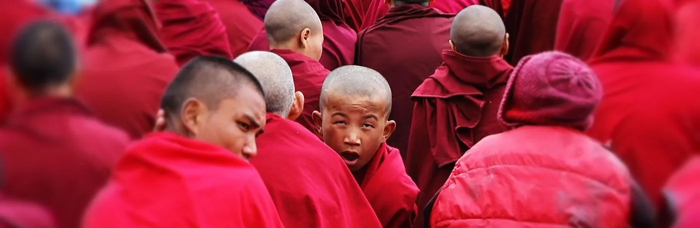 A young Buddhist monk with a shaved head looking back towards the camera amidst a crowd of other monks wearing red robes.