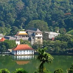 An elevated view of the Temple of the Tooth complex in Kandy, Sri Lanka, featuring traditional white buildings with tiled roofs situated next to a calm lake, surrounded by lush green trees.