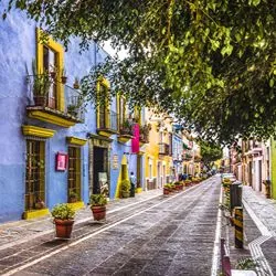 A vibrant cobblestone street lined with brightly colored colonial buildings in pink, purple, and yellow, adorned with potted plants and shaded by trees.