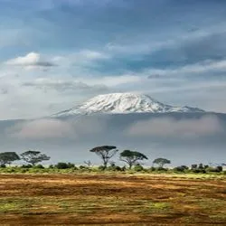 Panoramic landscape view of the snow-capped peak of Mount Kilimanjaro rising above a misty cloud layer and an African savanna dotted with acacia trees.
