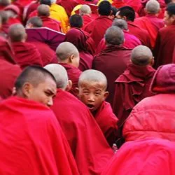 A young Buddhist monk with a shaved head looking back towards the camera amidst a crowd of other monks wearing red robes.